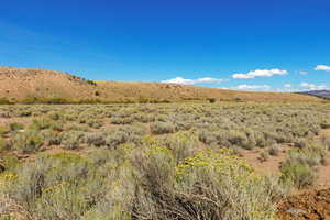 View of mountain background