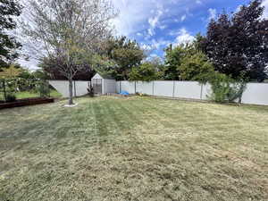 Fenced backyard with a storage unit
