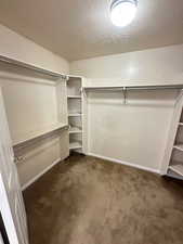 Spacious closet featuring dark colored carpet
