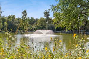 Water view featuring a tree filled landscape