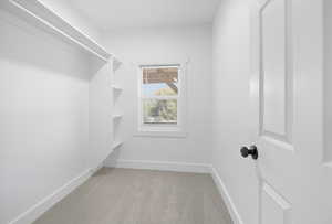 Spacious closet with light carpet