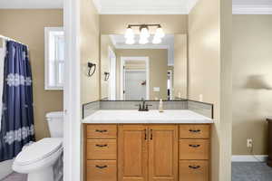 Full bath featuring decorative backsplash, vanity, ornamental molding, and a shower with curtain