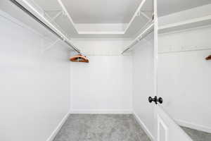 Spacious closet with light carpet