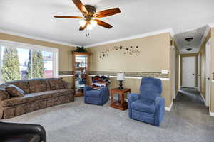 Carpeted living area featuring crown molding and a ceiling fan