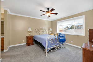 Carpeted bedroom featuring crown molding and ceiling fan