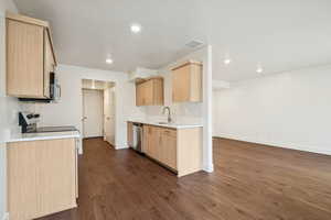Kitchen featuring light brown cabinets, dark wood-style flooring, recessed lighting, and stainless steel appliances