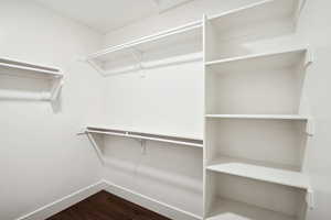 Walk in closet with dark wood-type flooring