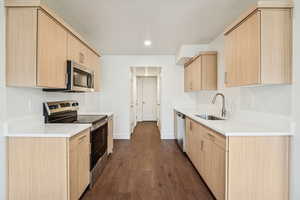 Kitchen with light brown cabinets, appliances with stainless steel finishes, dark wood-style flooring, and light stone counters