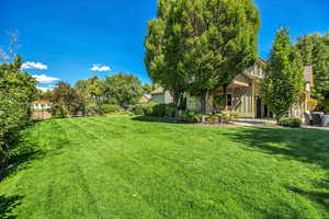 View of grassy yard
