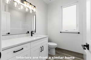 Full bathroom featuring dark wood-style floors and vanity