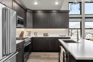 Kitchen with high end appliances, light wood-style floors, dark brown cabinetry, modern cabinets, and a mountain view