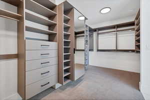 Walk in closet with light colored carpet