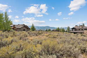 View of mountain background