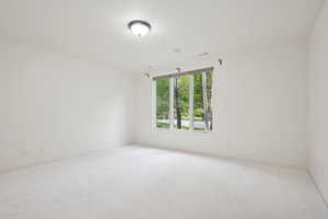 Lower Level bedroom 3