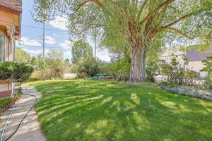 View of grassy yard