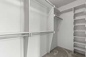 Spacious closet featuring light carpet