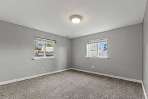 Empty room featuring plenty of natural light, carpet, and a textured ceiling