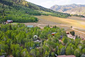 Aerial view of a forest and a mountainous background