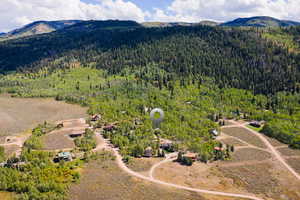 Aerial view of a heavily wooded area and a mountainous background