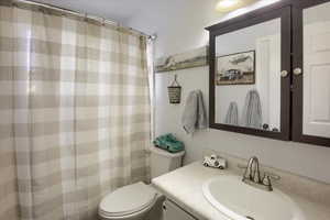 Bathroom with vanity and a shower with curtain