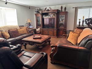 Living room with light carpet, a textured ceiling, and rail lighting