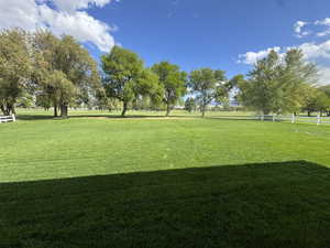 View of property's community with a yard