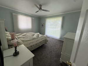 Bedroom with multiple windows, dark carpet, ornamental molding, a textured ceiling, and a ceiling fan