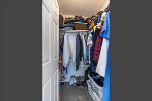 Spacious closet featuring dark carpet
