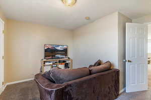 Carpeted with baseboards