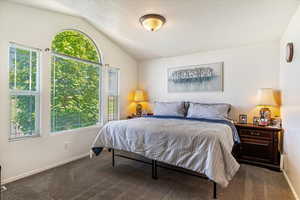 Carpeted bedroom with lofted ceiling and a textured ceiling