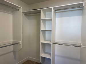 Spacious closet featuring dark colored carpet