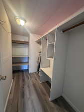 Spacious closet featuring light wood finished floors