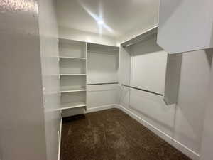 Spacious closet featuring dark colored carpet