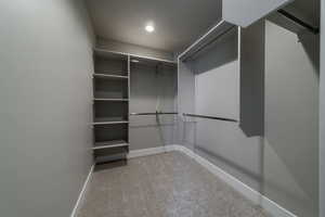 Spacious closet featuring light carpet