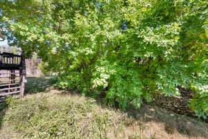 View of yard featuring stairs