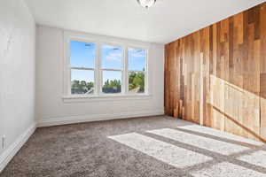 Spare room with wooden walls and carpet flooring