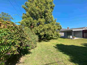 View of green lawn with a patio