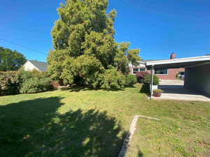 View of green lawn with a patio and an attached carport