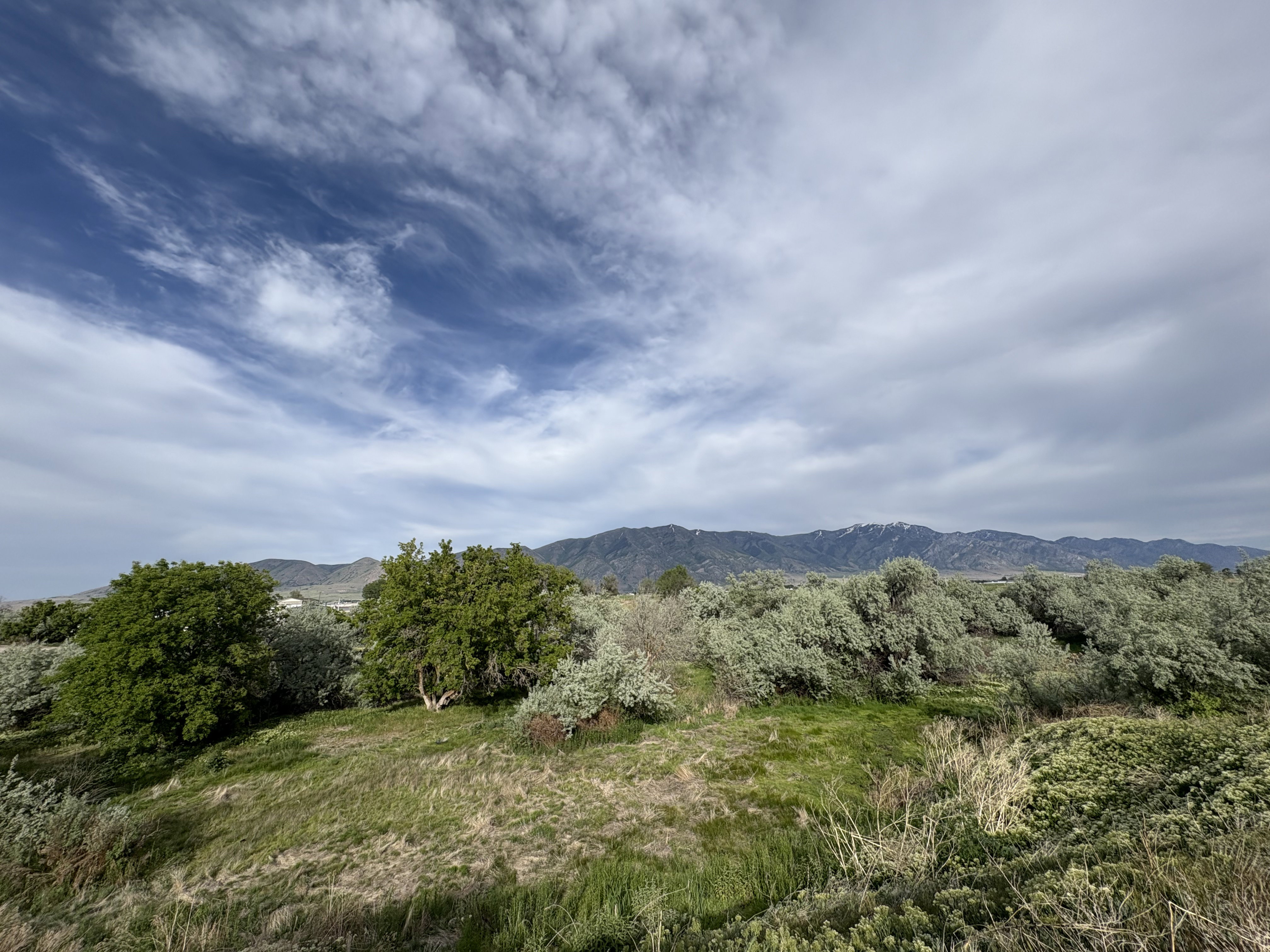 Mountain view