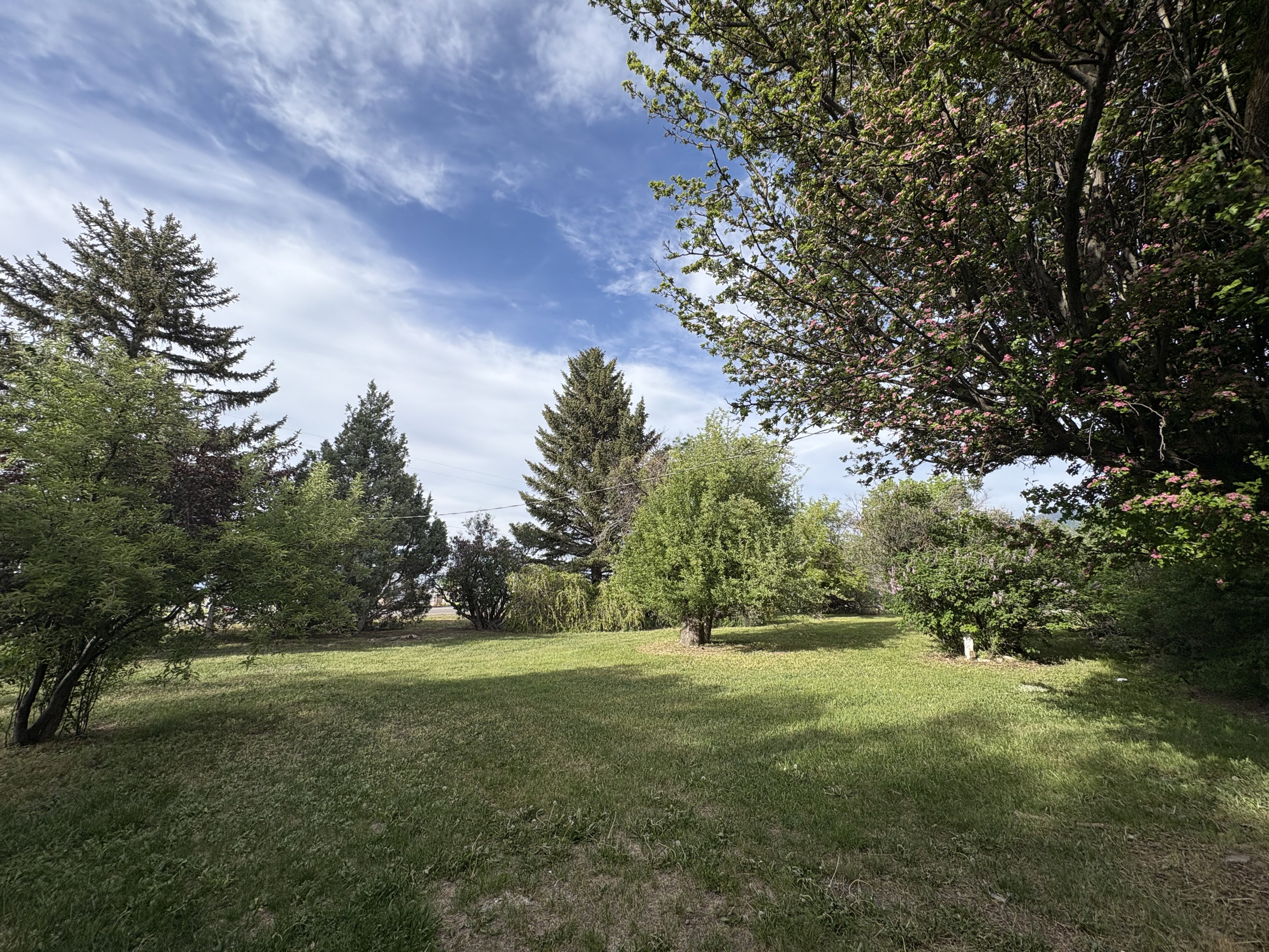 View of grassy yard