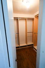 Walk in closet featuring dark wood-style flooring