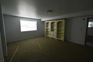 Carpeted spare room with a textured ceiling and baseboards