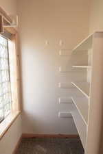 Walk in closet with carpet floors