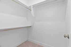 Spacious closet featuring light colored carpet