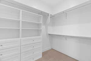 Spacious closet featuring light colored carpet