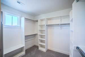 Walk in closet with dark carpet