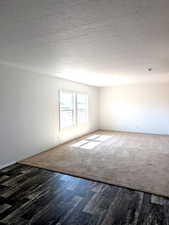 Living room with carpet