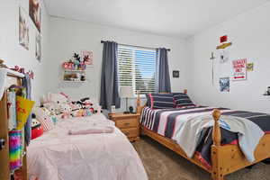 Bedroom with dark colored carpet