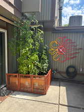 Exterior view of a central AC unit