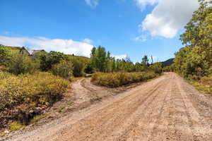 View of dirt/gravel road headed to cabin showing circular gravel driveway.